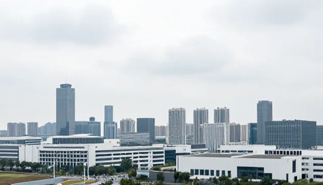 技术转让过程中如何确保项目包括技术？